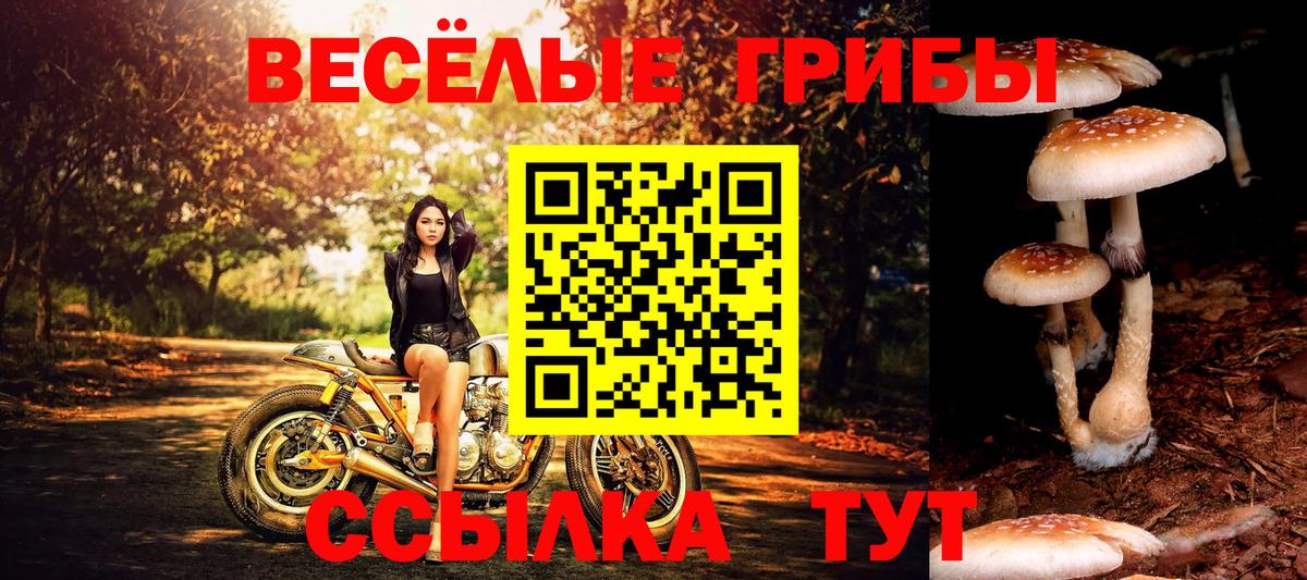 Кокаин  Михайловск  Вход с VPN  ЭКСТАЗИ  ГАШ  Меф МЯУ МЯУ кристаллы  МЕТ 