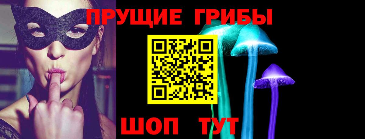 Михайловск  Псилоцибиновые грибы Cubensis  Псилоцибиновые грибы ЛСД  Вход с VPN 